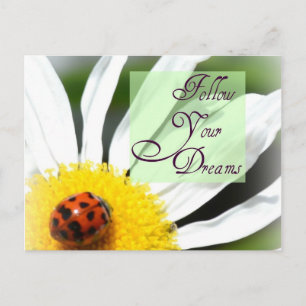 Följ ditt Dreams Ladybug-postkort Vykort