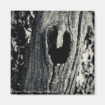 "Följ ditt hjärta" - magnet