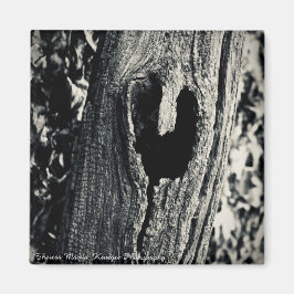 "Följ ditt hjärta" - magnet