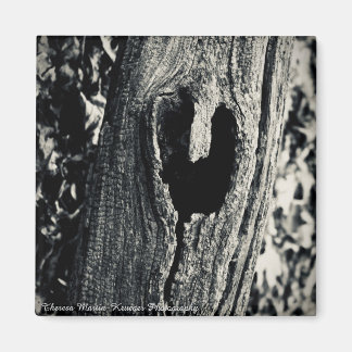 "Följ ditt hjärta" - magnet