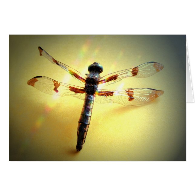 Följ endast ljus - Dragonfly Hälsningskort (Framsidan Horizontal)