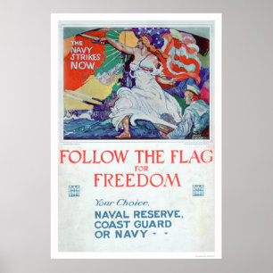 Följ flagga av frihet (US02179) Poster