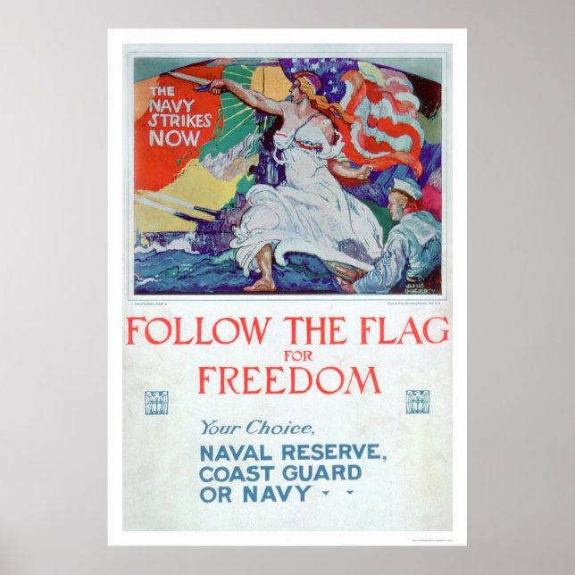 Följ Flagga om frihet (US02179) Poster (Framsidan)