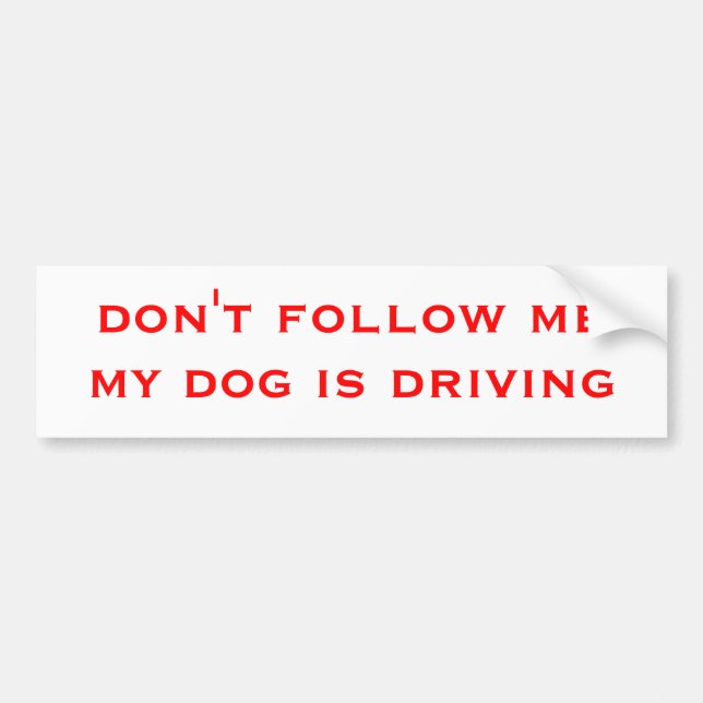 följ inte mig som min hund kör bildekal (Framsidan)