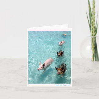 Följ ledare kort