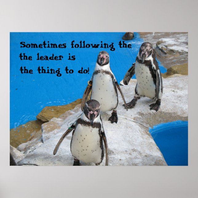 Följ ledaren poster (Framsidan)