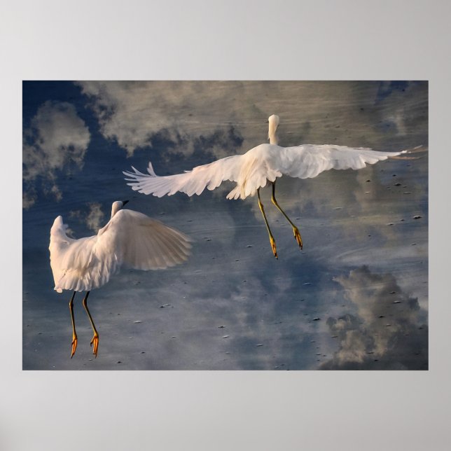 Följ mig och Poster (Framsidan)