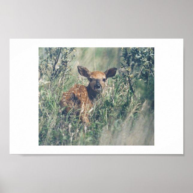 Följ mig. poster (Framsidan)