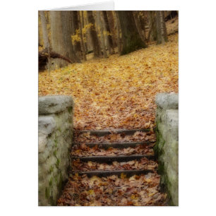 Följ Väg Hälsningskort