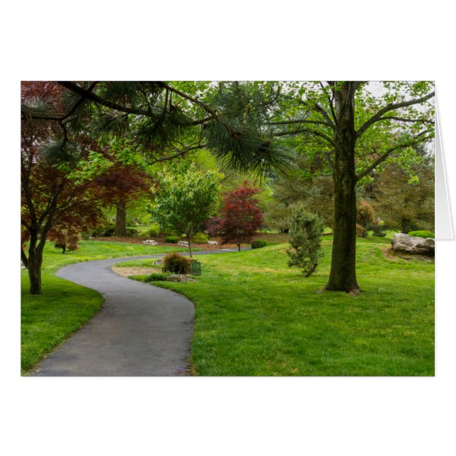 Följ Väg Pano Hälsningskort (Framsidan Horizontal)