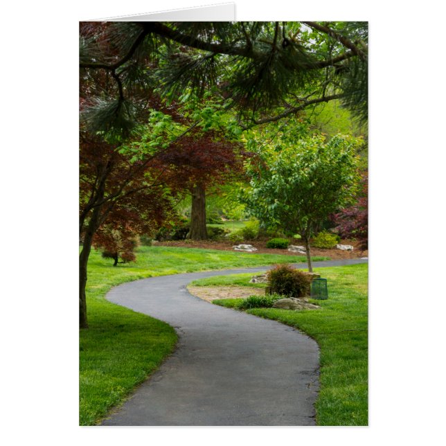 Följ vägbanan OBS kort (Framsidan)