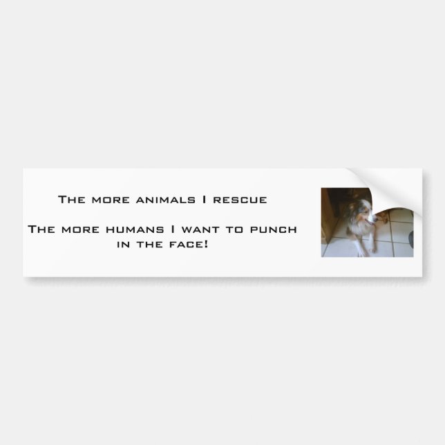 FOLK STANK… BILDEKAL (Framsidan)