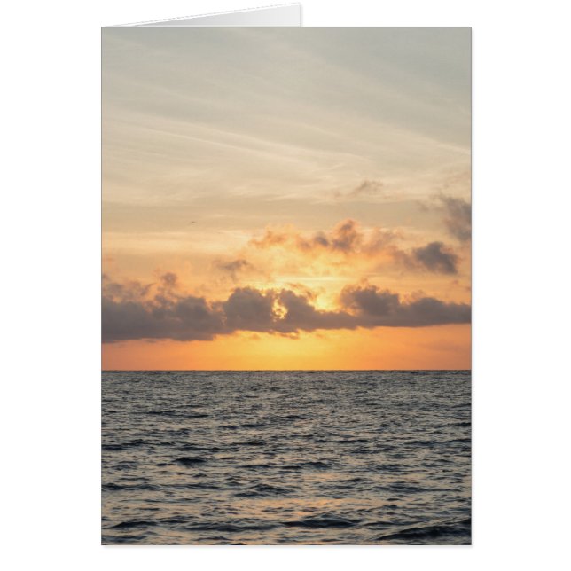 Folly Beach Morgon OBS Kort (Framsidan)