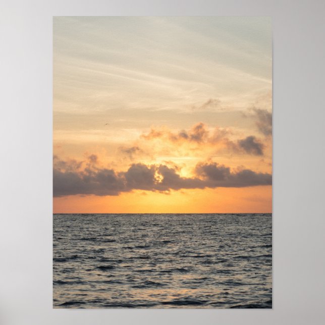 Folly Beach Morgon Poster (Framsidan)