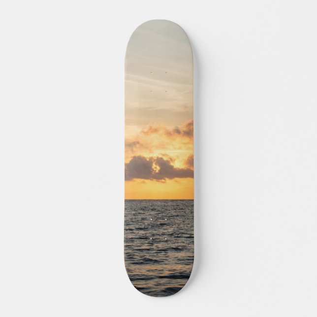 Folly Beach Morgon Skateboard Bräda 20,5 Cm (Framsida)