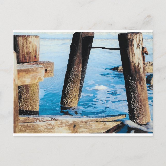 Folly Beach Old Docks Vykort (Framsida)