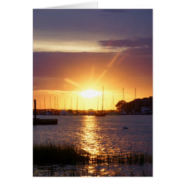 Folly River SunRay OBS Kort (Framsidan)