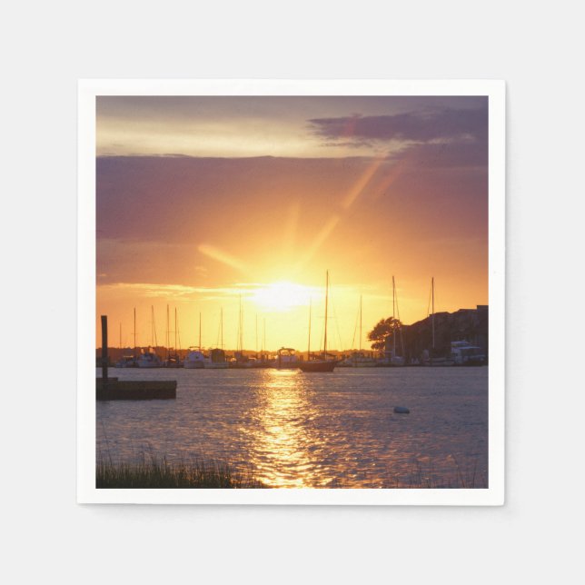 Folly River SunRay Pappersservett (Framsidan)