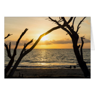 Folly Sunrise Träd Silhouette OBS Kort