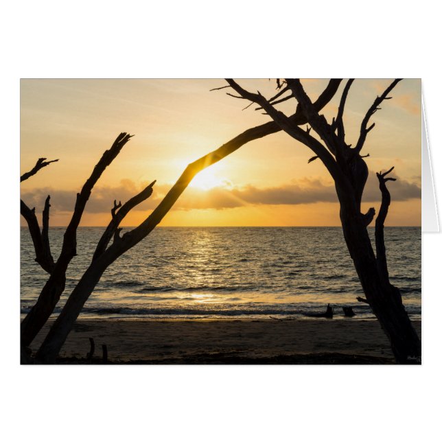 Folly Sunrise Träd Silhouette OBS Kort (Framsidan Horizontal)