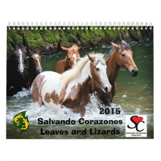 Fond - raiserkalender Salvando Corazones 2015 Kalender