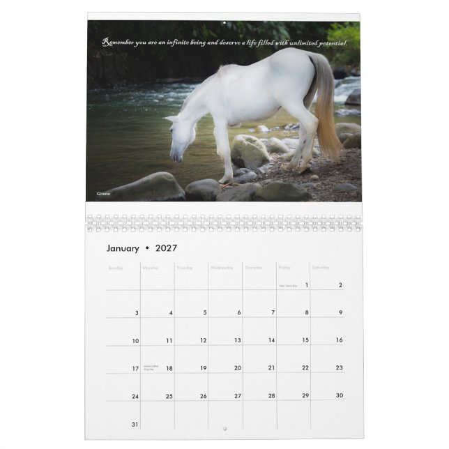 Fond - raiserkalender Salvando Corazones 2015 Kalender (Jan 2027)
