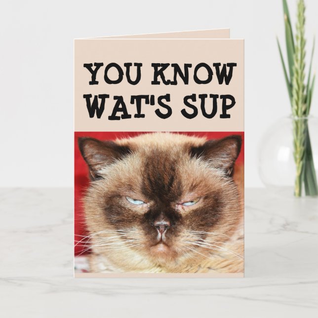 FONNY CAT BIRTHDAY Greeting Card Kort (Framsida)