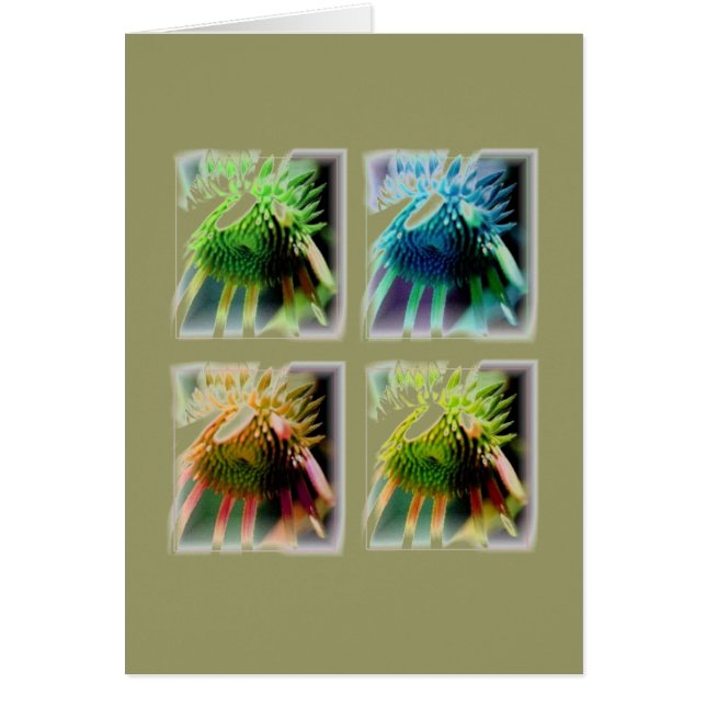 Fönster för Echinecea Growth Hälsningskort (Framsidan)