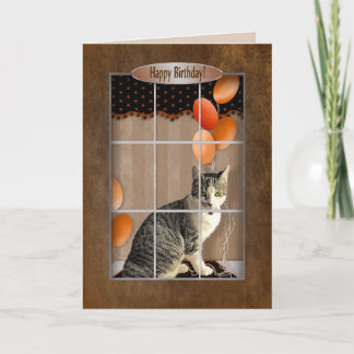 Fönster för Tittar katt - bubblor Kort