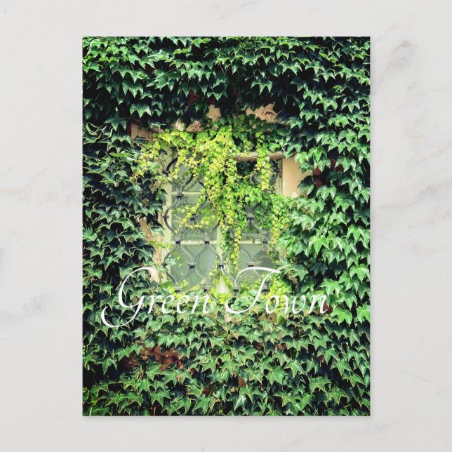 Fönster i gröntarna Fodral-Mate iphone case Cla Vykort (Framsida)