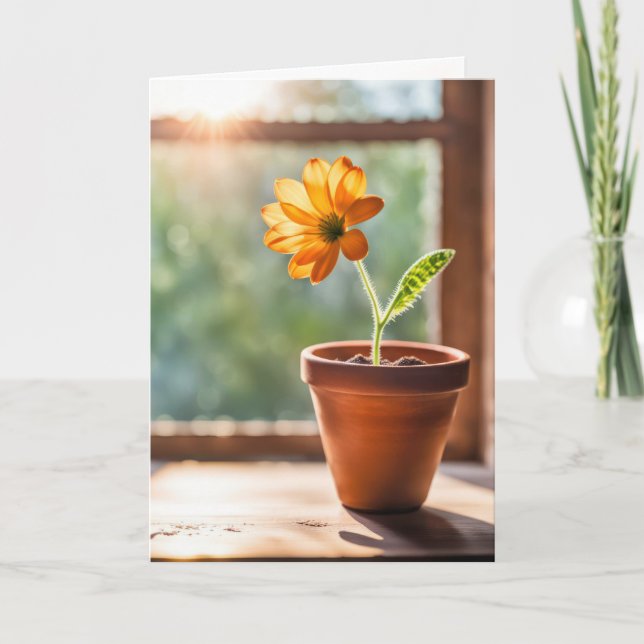 Fönster med Daisy av Orange som du funderar på Kort (Framsida)