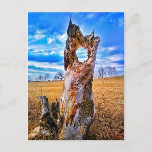 Fönster på vykort (Framsida)