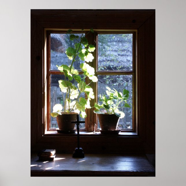 Fönster Poster (Framsidan)