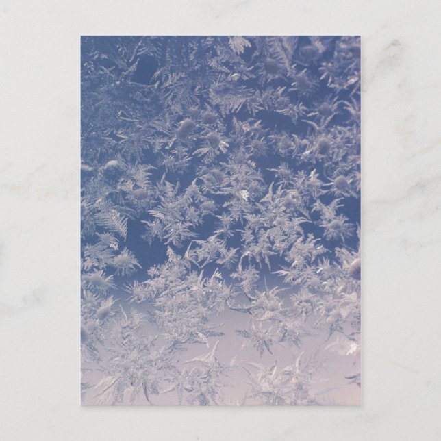 Fönster Snöflingor Vykort (Framsida)