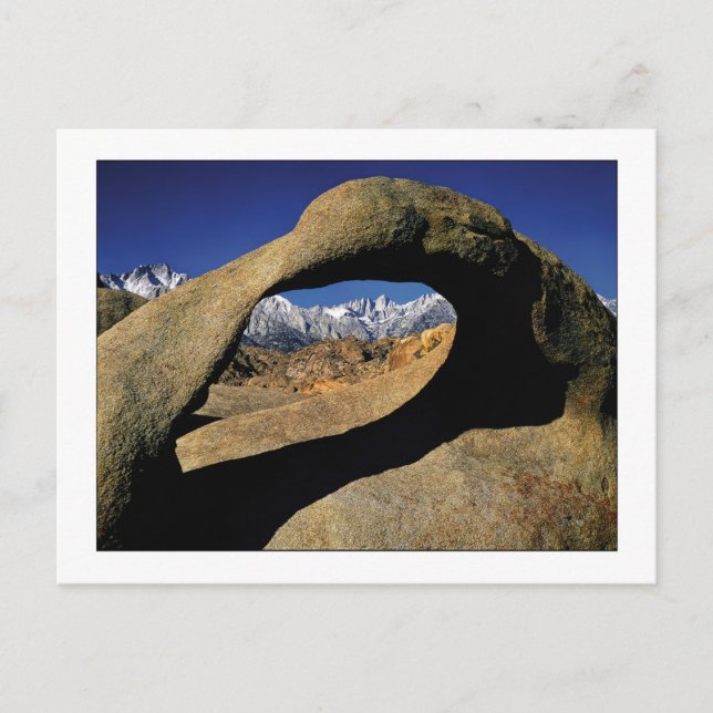 "Fönster till Whitney" Vykort (Framsida)