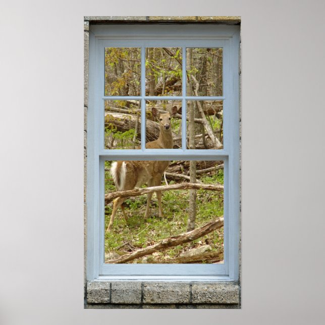 Fönster tittar ut Hjort Poster (Framsidan)