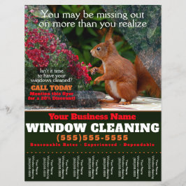 Fönster Tvättande Städning affärskalkylblad Reklamblad