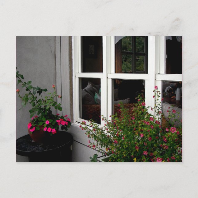 Fönster/vykort Vykort (Framsida)