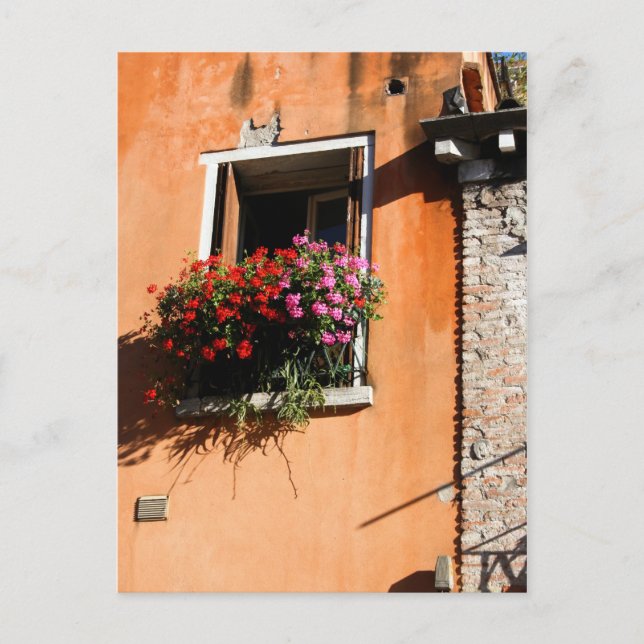 Fönsterblommor Vykort (Framsida)