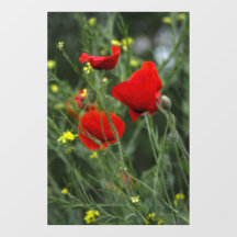Fönsterdekal - Röda vallmoblomfotografering