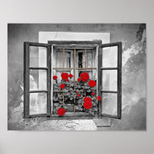 fönsterhus, 477937, svart och vit blomma poster