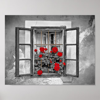 fönsterhus, 477937, svart och vit blomma poster
