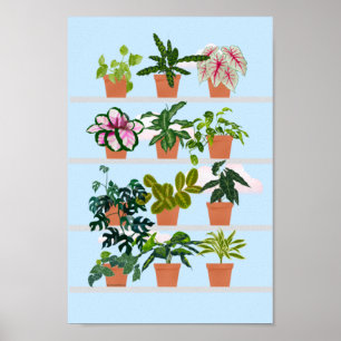 Fönsterhyllor med husväxter poster