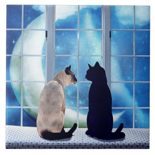 Fönsterkatter Kakelplatta