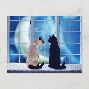 Fönsterkatter Vykort