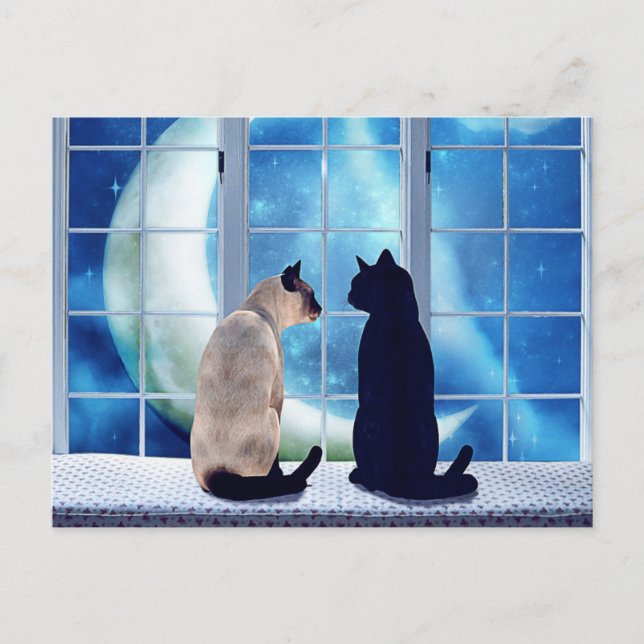 Fönsterkatter Vykort (Framsida)