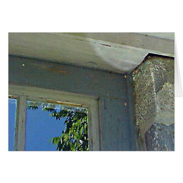 Fönsterreflexionskort Hälsningskort (Framsidan Horizontal)