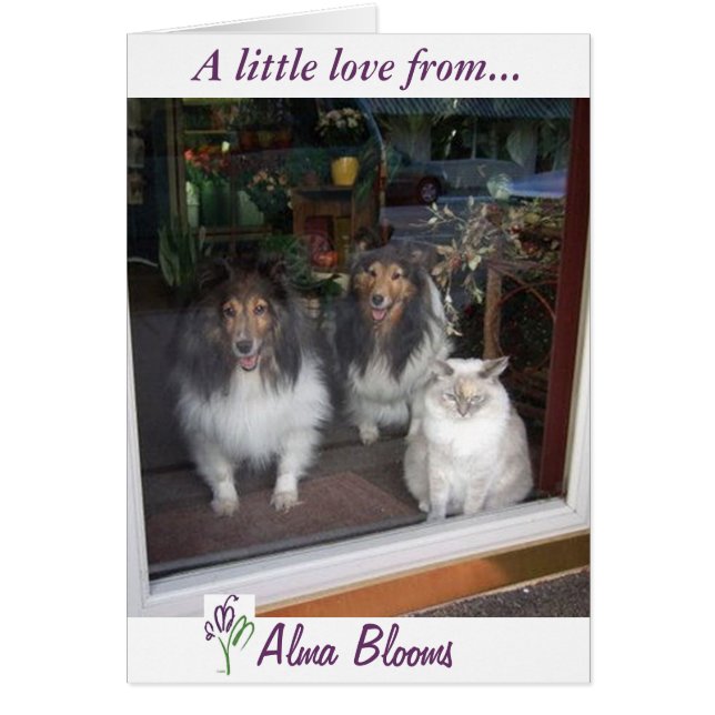 Fönstervy Hälsningskort (Framsidan)