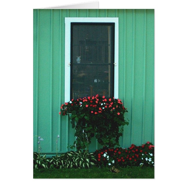 Fönstret boxas av Impatients Hälsningskort (Framsidan)