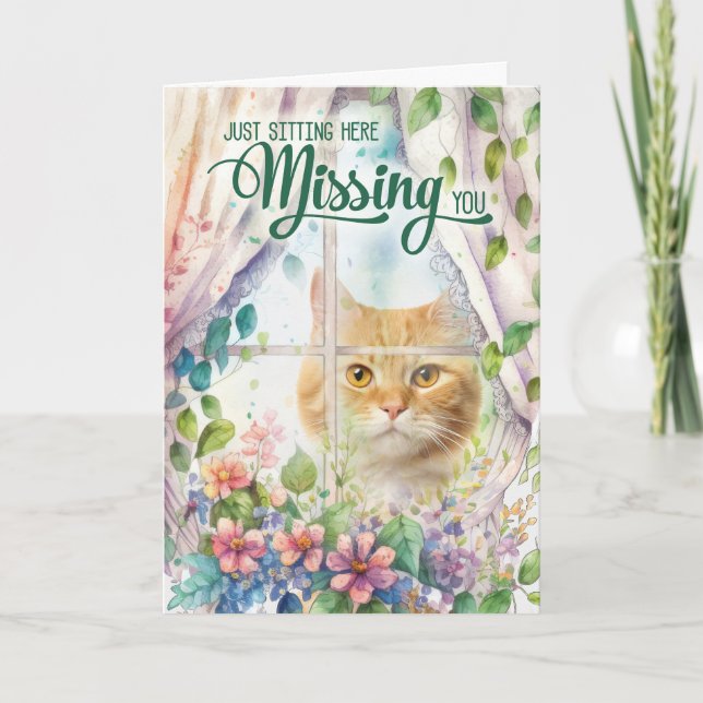 Fönstret Cat Lover Garden som saknas Kort (Framsida)